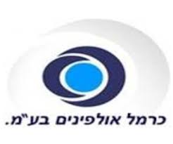 כרמל אולפינים בע"מ